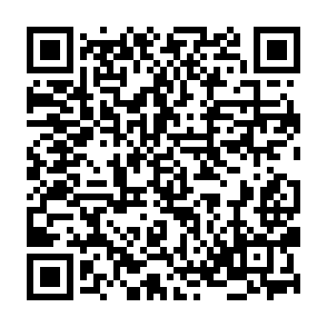 Fake Almanak Staking Launch platform QR code