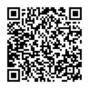 AntiDot virus QR code