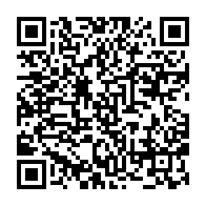 Arc Community Rewards crypto drainer QR code