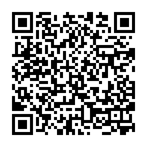 ARCH WIPER virus QR code