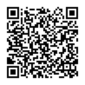 Asulo virus QR code
