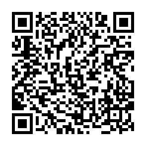 Fake Audius ($AUDIO) giveaway QR code