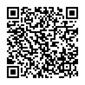 Avalanche (AVAX) Airdrop scam website QR code