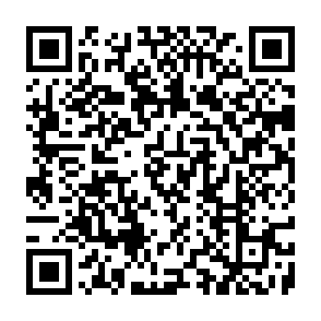 Fake Avici token giveaway QR code