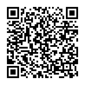 AvisLoader malware loader QR code