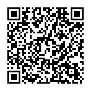 Bactor virus QR code