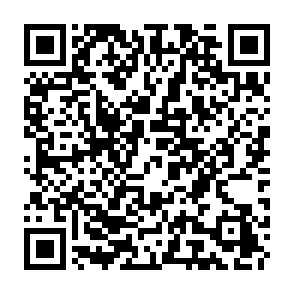 Barking Puppy ($BP) Airdrop crypto drainer QR code