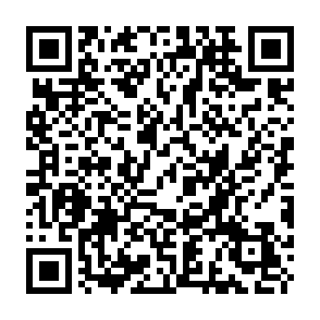 Fake $BCKR airdrop (giveaway) QR code