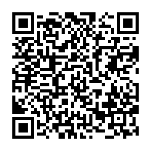 Fake Beam Bonus Allocation website QR code