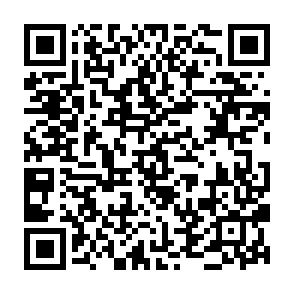 Bear virus QR code