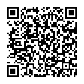 Fake $BEAST Token Airdrop QR code