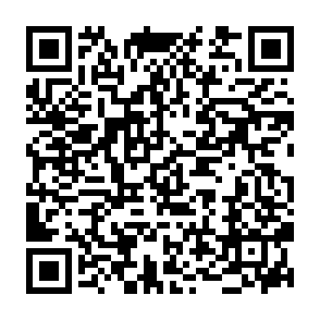 Bio Protocol ($BIO) Airdrop crypto drainer QR code