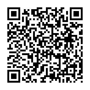 Ads by Bireme.app QR code