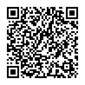 Fake Bitcoin 20 ($BTC20) giveaway QR code