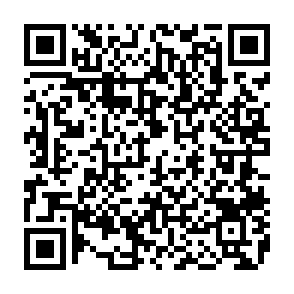 Bitcoin Pepe Presale crypto drainer QR code