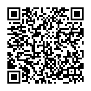 Fake Bitcoin Reward Program website QR code