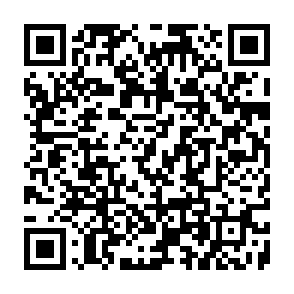 Fraudulent BlockDAG (BDAG) Rewards platform QR code