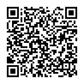 BOBER virus QR code