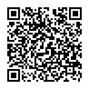 Bonus For Solana Users fake offer QR code