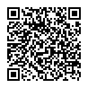 Ads by brapapplabolial.com QR code