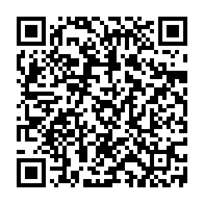 Brevis Snapshot crypto drainer QR code