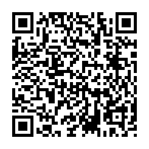 Fake Brevis token giveaway QR code