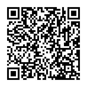 Brian Airdrop crypto drainer QR code