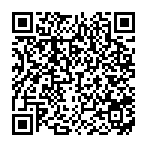 Ads by bricirchmic.com QR code