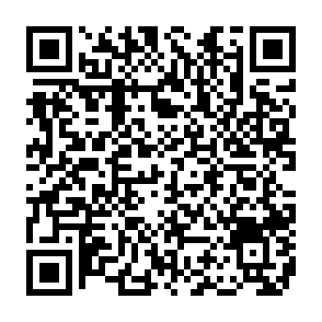 Ads by bridgechainlabs.com QR code