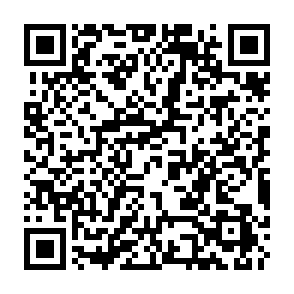 Ads by bridgechainnet.com QR code