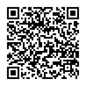 Ads by bridgechainweb.com QR code