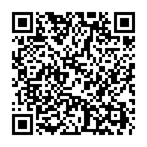 Ads by bridgenodesolutions.co.in QR code