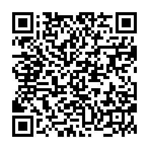 Ads by Bushbeater.app QR code