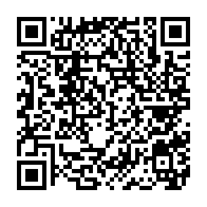 Calipso virus QR code