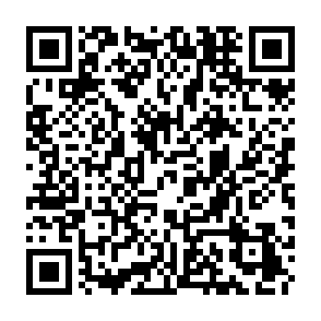 Ads by camisreed.com QR code