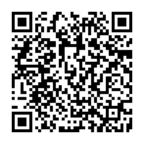 CastleLoader virus QR code
