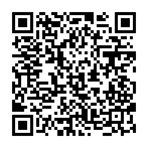 Ads by catessoch.com QR code