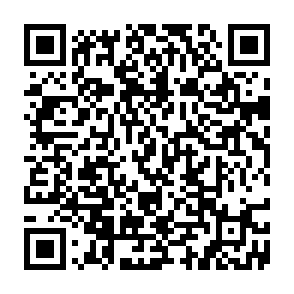 CCLand virus QR code