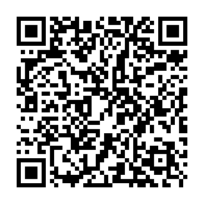 Fake Chailink Treasury Reward website QR code