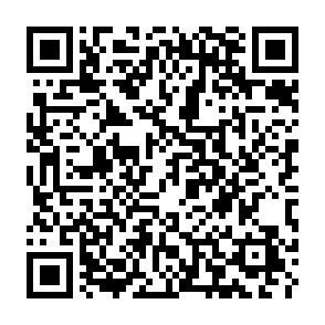 Fake Chainlink Treasury Pool QR code