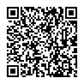 Ads by chainspanhub.com QR code