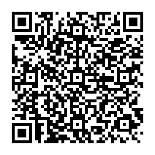 Check Failed Messages phishing email QR code
