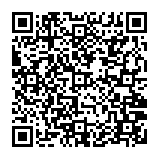 check-now.online pop-up QR code