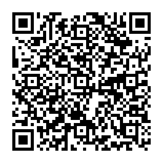 Fake Chevron - Vendor Invitation QR code