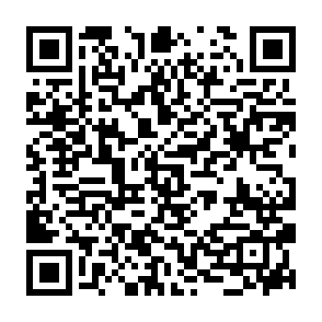 ChimeraWire clicker QR code