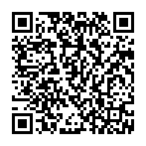 Ads by chmicutuding.com QR code