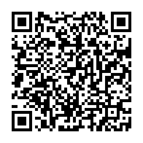 Claim $SKATE Coin crypto drainer QR code
