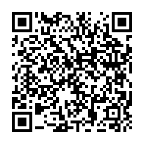 Clawdbot ($CLAWD) Scam crypto scam websites QR code