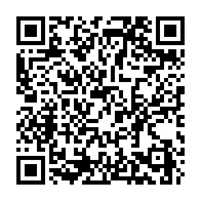 Fake Contract Quote email QR code