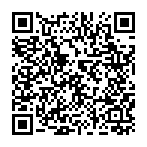 Fake Converge Rewards Program QR code
